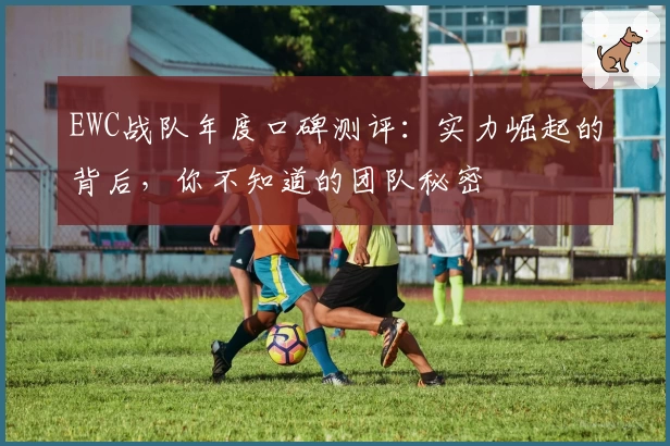 EWC战队年度口碑测评:实力崛起的背后,你不知道的团队秘密