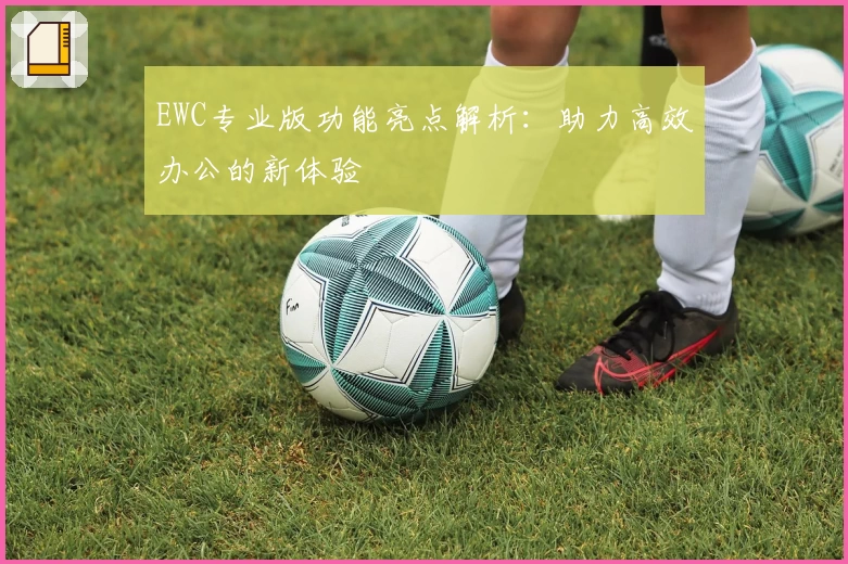 EWC专业版功能亮点解析：助力高效办公的新体验